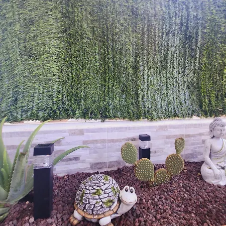 Ohana And كاليتا ذي فوستي